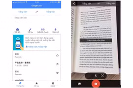 Ảnh minh họa tính năng dịch của Google.