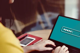 Ảnh chỉ có tính minh họa. (Nguồn: theconversation.com)