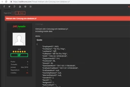 Hình ảnh chụp màn hình hacker đăng tải trên diễn đàn. (Ảnh: Vietnam+)