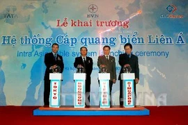 Hệ thống cáp quang biển Liên Á được đưa vào sử dụng từ tháng 11/2009 (Nguồn: TTXVN)
