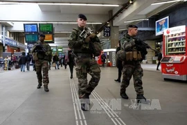 Ảnh minh họa. (Nguồn: AFP/TTXVN)