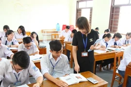 (Ảnh minh họa: Hải Yến/TTXVN)