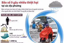 [Infographics] Bão số 9 gây nhiều thiệt hại tại các địa phương