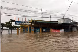 Trụ sở thôn Văn Lâm 3, xã Phước Nam, huyện Thuận Nam bị ngập sâu. (Ảnh: Công Thử/TTXVN)