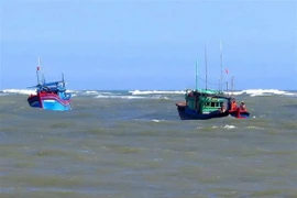 Tàu cá ra khơi. (Ảnh: Thế Lập/TTXVN)