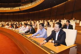 Đại biểu Quốc hội tỉnh Bà Rịa-Vũng Tàu biểu quyết thông qua Nghị quyết phê chuẩn Hiệp định Đối tác Toàn diện và Tiến bộ xuyên Thái Bình Dương (CPTPP) cùng các văn kiện liên quan. (Ảnh: Phương Hoa/TTXVN)