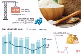 Xuất khẩu gạo dự kiến thu về 3 tỷ USD trong năm 2018