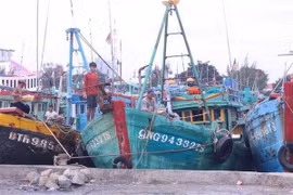 Tàu, thuyền neo đậu tại cảng cá Phan thiết. (Ảnh: Hồng Hiếu/TTXVN)