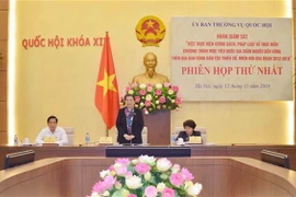 Phó Chủ tịch Thường trực Quốc hội Tòng Thị Phóng phát biểu. (Ảnh: Phương Hoa/TTXVN)