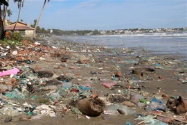 Ảnh chỉ có tính minh họa. (Ảnh: Nguyễn Thành/TTXVN)