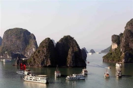 Vịnh Hạ Long. (Ảnh: Quang Quyết/TTXVN)