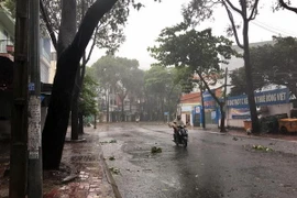 Mưa to và gió lớn tại Bà Rịa-Vũng Tàu. (Ảnh: Đoàn Mạnh Dương/TTXVN)