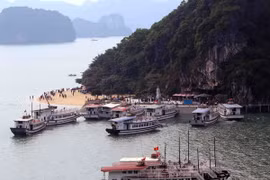 (Ảnh minh họa: Quang Quyết/TTXVN)