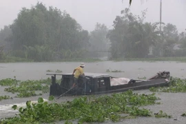 (Ảnh minh họa: Duy Khương/TTXVN)