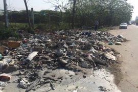 Rác thải bị đổ trộm tràn ra cả lòng đường tại Đại lộ Thăng Long. (Ảnh Mạnh Khánh/TTXVN)