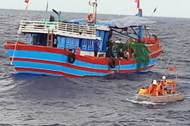 (Ảnh minh họa: Tấn Nguyên/TTXVN phát)