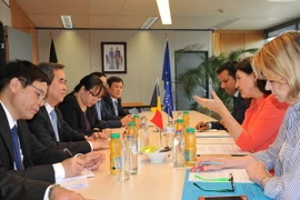 Trưởng ban Kinh tế Trung ương Nguyễn Văn Bình gặp Bộ trưởng Năng lượng - Môi trường và Phát triển bền vững Bỉ Marie-Christine Marghem. (Ảnh: Kim Chung/Vietnam+)