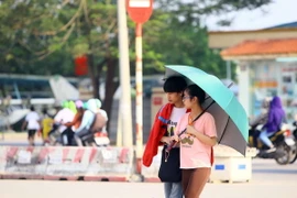 (Ảnh minh họa: Quang Quyết/TTXVN)