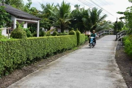 (Ảnh chỉ có tính minh họa: Huỳnh Thế Anh/TTXVN)