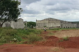 (Ảnh minh họa: Đậu Tất Thành/TTXVN)