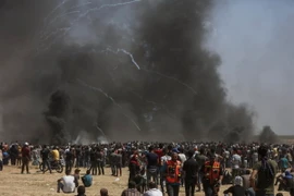 Xung đột giữa người biểu tình Palestine với binh sỹ Israel tại khu vực biên giới Dải Gaza và Israel ngày 14/5. (Nguồn: THX/TTXVN)