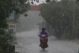 (Ảnh minh họa: Duy Khương/TTXVN)