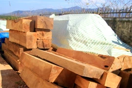 (Ảnh minh họa: Quang Thái/TTXVN)