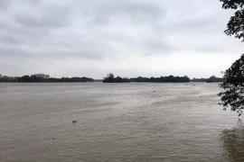 (Ảnh minh họa: Quốc Việt/TTXVN)