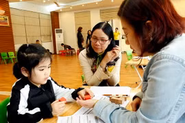 (Ảnh minh họa: Dương Ngọc/TTXVN)