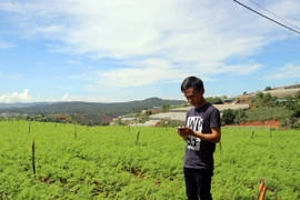 Chỉ cần dùng điện thoại di động, là có thể điều khiển hệ thống thiết bị tự động tưới nước cho khu vườn này theo chương trình đặt trước. (Ảnh: Chu Quốc Hùng/TTXVN)