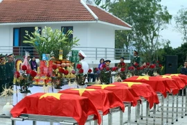 (Ảnh: Phan Tuấn Anh/TTXVN)