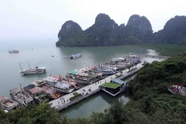 (Ảnh: Quang Quyết/TTXVN)