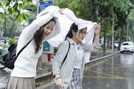 (Ảnh minh họa: Lâm Khánh/TTXVN)