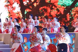 Chương trình biểu diễn nghệ thuật chào mừng Lễ hội. (Ảnh: Thống Nhất/TTXVN)