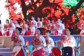 Chương trình biểu diễn nghệ thuật chào mừng Lễ hội. (Ảnh: Thống Nhất/TTXVN)
