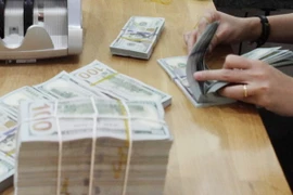 (Ảnh chỉ có tính minh họa: Trần Việt/TTXVN)