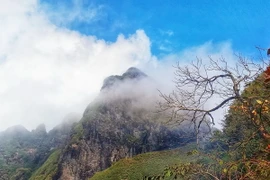 Khung cảnh kỳ vĩ dọc đường đi thực sự khiến những phượt thủ thấy choáng ngợp và say mê. (Ảnh: Hương Thu/TTXVN)