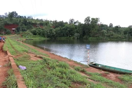 (Ảnh minh họa: Hưng Thịnh/TTXVN)