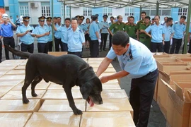 Liên tiếp phá các đường dây ma túy liên tỉnh, xuyên quốc gia