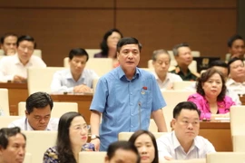 Đại biểu Quốc hội tỉnh Gia Lai Bùi Văn Cường phát biểu. (Ảnh: Phương Hoa/TTXVN)