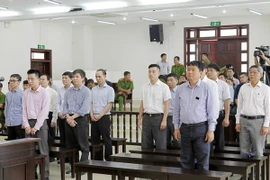 Các bị cáo nghe thẩm phán đọc bản tuyên án luận tội. (Ảnh: Văn Điệp/TTXVN)
