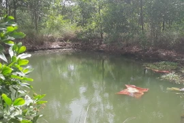 (Ảnh minh họa: K GỬIH/TTXVN)