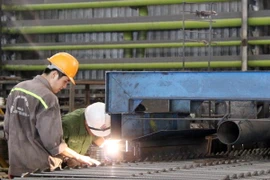 (Ảnh minh họa: Hoàng Nguyên/TTXVN)