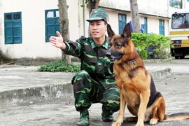 Chó nghiệp vụ thực hiện các bài tập tấn công. (Ảnh: Trần Lê Lâm/TTXVN)