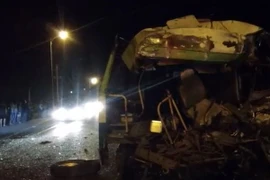 (Ảnh minh họa: Sĩ Tuyên/TTXVN)