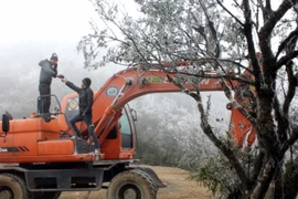 Băng tuyết xuất hiện tại đỉnh Phia Oắc,Cao Bằng khi nhiệt độ xuống -7 độ C ngày 22/1. (Ảnh: Quốc Đạt/TTXVN)