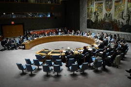 Toàn cảnh một phiên họp Hội đồng bảo an LHQ tại New York. (Nguồn: THX/TTXVN)