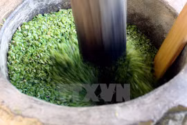 (Ảnh: Thế Duyệt/TTXVN)