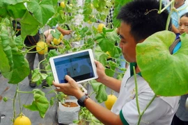 Giới thiệu hệ thống phần mềm quản lý sản xuất mô hình trồng dưa lưới trong nhà màng. (Ảnh: Mạnh Linh/TTXVN)