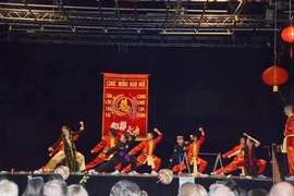 Nhóm Võ cổ truyền Tiểu Long Đường biểu diễn võ thuật. (Ảnh: Bích Hà/Vietnam+)